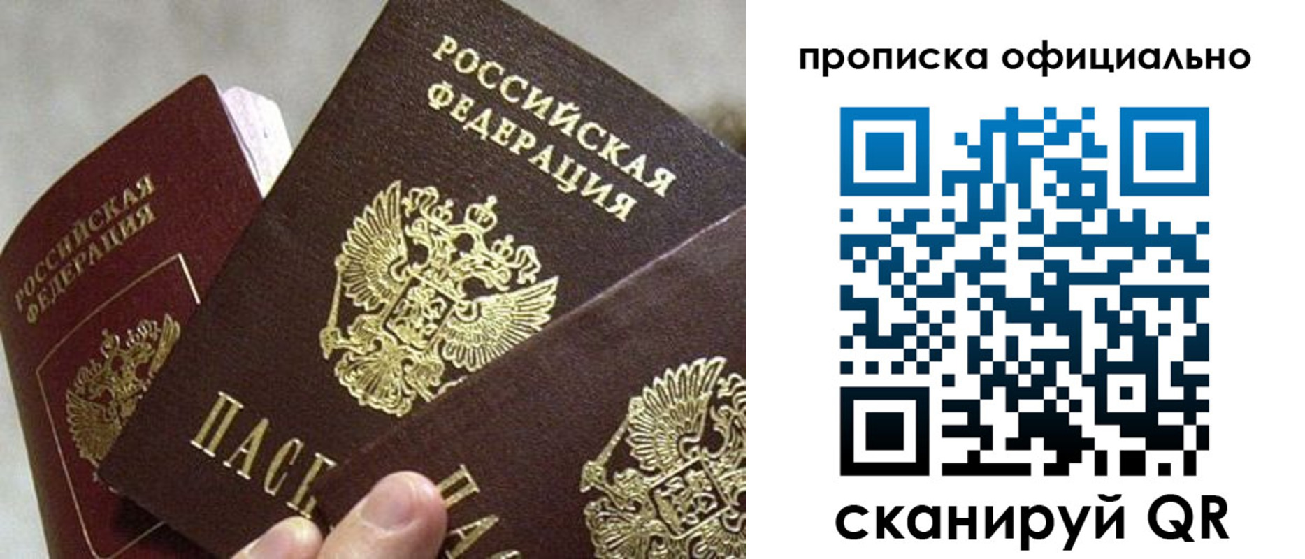 прописка гарантия в Электрогорске